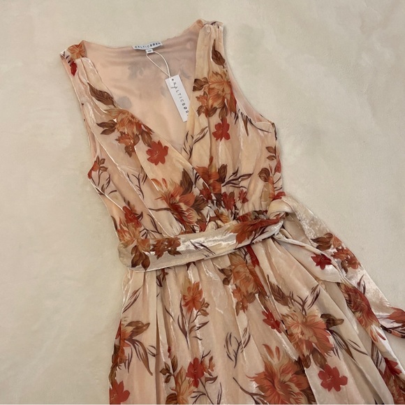 NWT Baltic Born Lennon Velvet Cream/Pink Floral Sleeveless Maxi XS - Picture 7 of 13